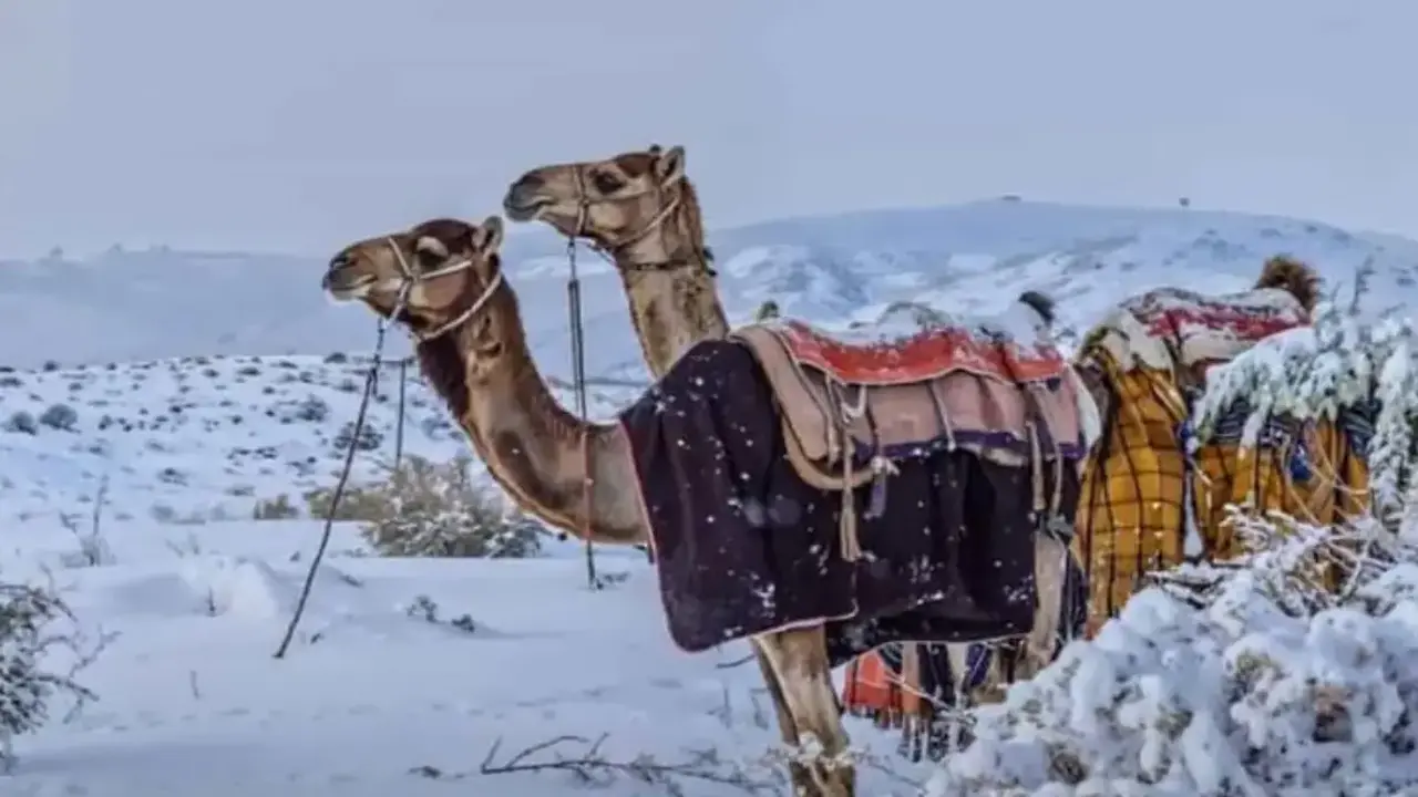 كتلة هوائية قطبية.. خرائط الطقس تكشف موعد وصول الأمطار الثلجية إلى مصر والمنطقة